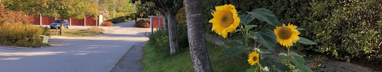 Valhundens samfällighetsförening