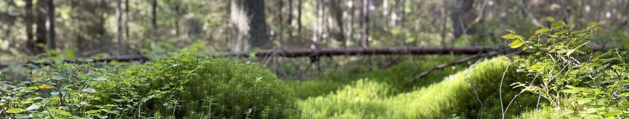 Valhundens samfällighetsförening